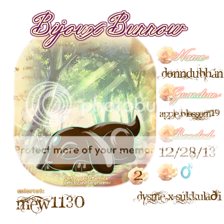 User Image
